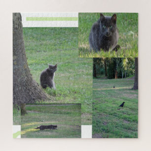 Collage Puzzle: Katten in actie Legpuzzel