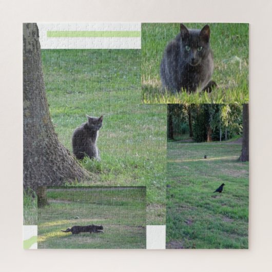 Collage Puzzle: Katten in actie Legpuzzel (Verticaal)
