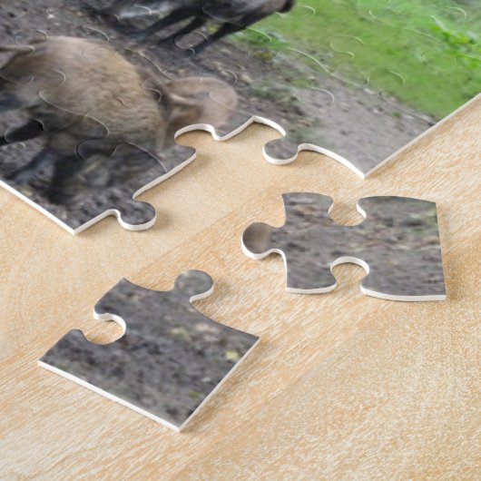 Collage Puzzle: Natuur Park Lelystad ANIMALS Legpuzzel (Zijkant)