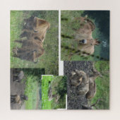 Collage Puzzle: Natuur Park Lelystad ANIMALS Legpuzzel (Horizontaal)