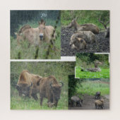 Collage Puzzle: Natuur Park Lelystad ANIMALS Legpuzzel (Verticaal)