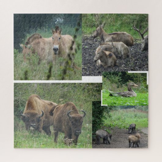 Collage Puzzle: Natuur Park Lelystad ANIMALS Legpuzzel (Verticaal)