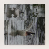 Collage Puzzle: Natuur Park Lelystad DUCK Legpuzzel (Horizontaal)