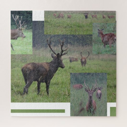 Collage Puzzle: Natuur Park Lelystad RED DEER Legpuzzel (Verticaal)