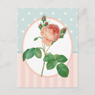  collage roze roze botanische druk briefkaart