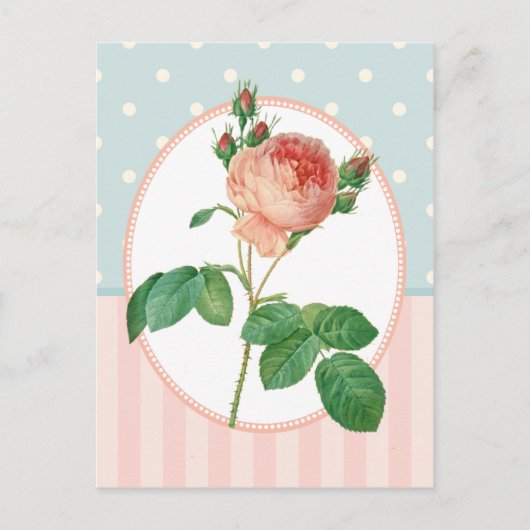 collage roze roze botanische druk briefkaart (Voorkant)