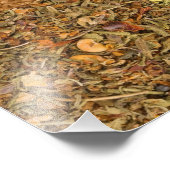 Collage set specerijen en voedselingrediënten foto afdruk (Hoek)