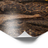 Collage set specerijen en voedselingrediënten foto afdruk (Hoek)