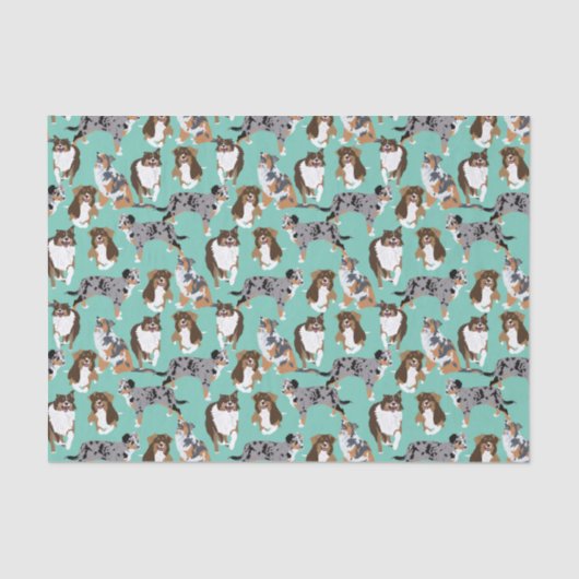 Collage van Aussies Australian Shepherd Dogs Tissuepapier (Voorkant)