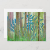 Collage van Bracken Ferns en Forest | Seabeck, WA Briefkaart (Voorkant / Achterkant)