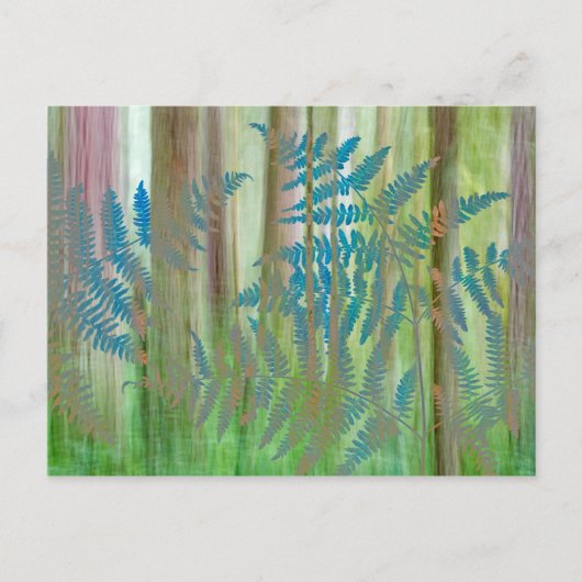 Collage van Bracken Ferns en Forest | Seabeck, WA Briefkaart (Voorkant)
