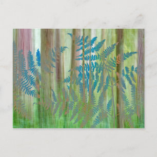 Collage van Bracken Ferns en Forest   Seabeck, WA Briefkaart