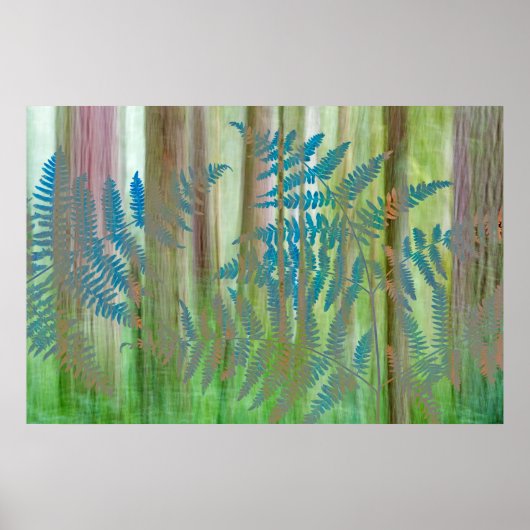 Collage van Bracken Ferns en Forest | Seabeck, WA Poster (Voorkant)