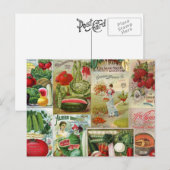 Collage van de katalogus van groenten en fruit briefkaart (Voorkant / Achterkant)