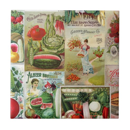 Collage van de katalogus van groenten en fruit tegeltje (Voorkant)