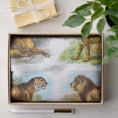 Collage van de ontkoppeling van de  Lion Tiger Tissuepapier (Geschenk)