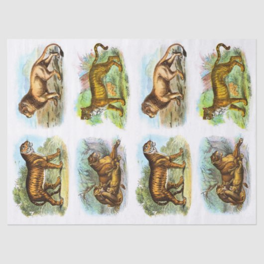 Collage van de ontkoppeling van de  Lion Tiger Tissuepapier (Voorkant)