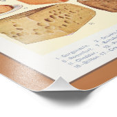  Collage van huishoudkaas, Beeton, 1923 Foto Afdruk (Hoek)