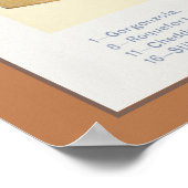  Collage van huishoudkaas, Beeton, 1923 Poster (Hoek)