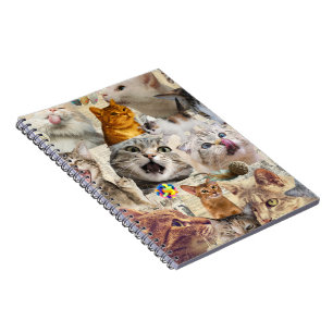 Collage van katten en speelgoed notitieboek
