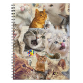Collage van katten en speelgoed notitieboek (Voorkant)