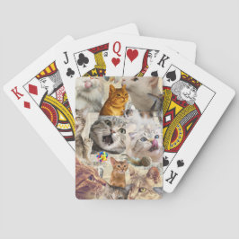 Collage van katten en speelgoed pokerkaarten