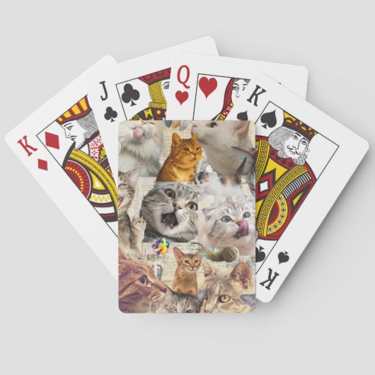 Collage van katten en speelgoed pokerkaarten (Achterkant)