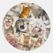 Collage van katten en speelgoed ronde sticker (Voorkant)