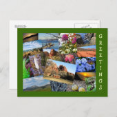 Collage van Natuur en wilde dieren Briefkaart (Voorkant / Achterkant)