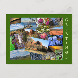 Collage van Natuur en wilde dieren Briefkaart