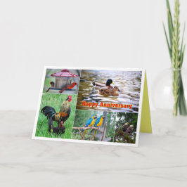 Collage van vogelparen Gelukkig jubileum Kaart