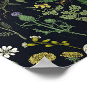 Collage van wilde bloemen poster (Hoek)