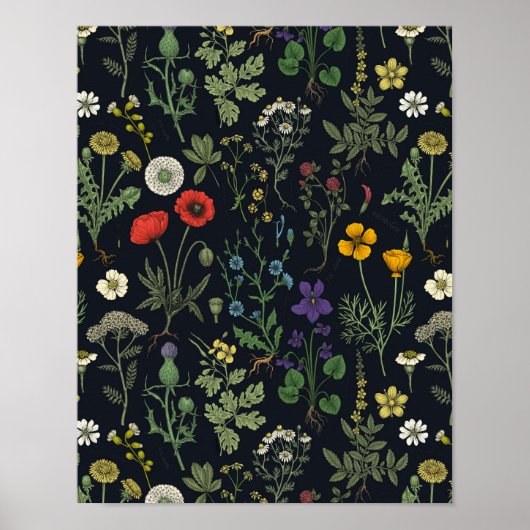 Collage van wilde bloemen poster (Voorkant)