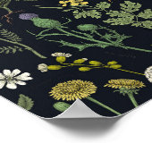 Collage van wilde bloemen poster (Hoek)