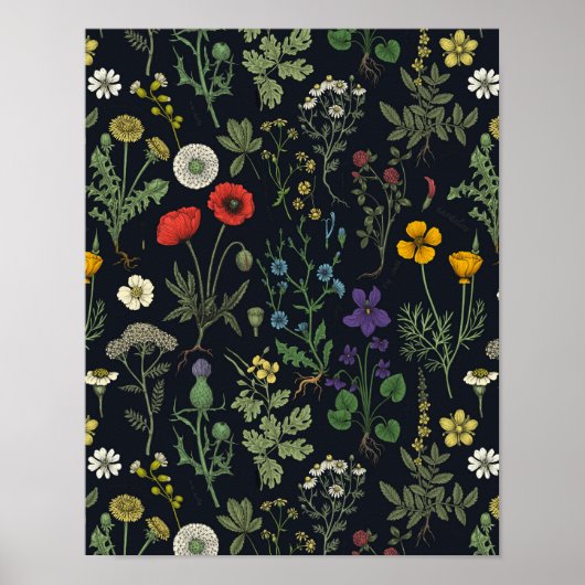 Collage van wilde bloemen poster (Voorkant)