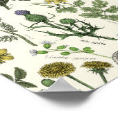 Collage van wilde bloemen poster (Hoek)