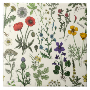 Collage van wilde bloemen tegeltje
