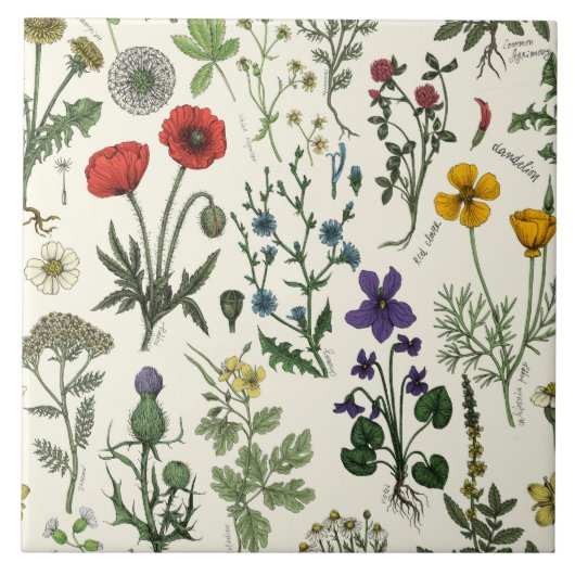 Collage van wilde bloemen tegeltje (Voorkant)