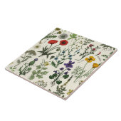 Collage van wilde bloemen tegeltje (Zijkant)
