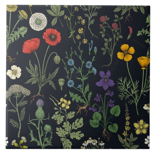 Collage van wilde bloemen tegeltje (Voorkant)