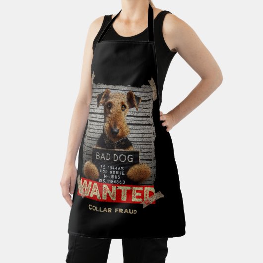 Collar Fraudster Schort (Insitu)