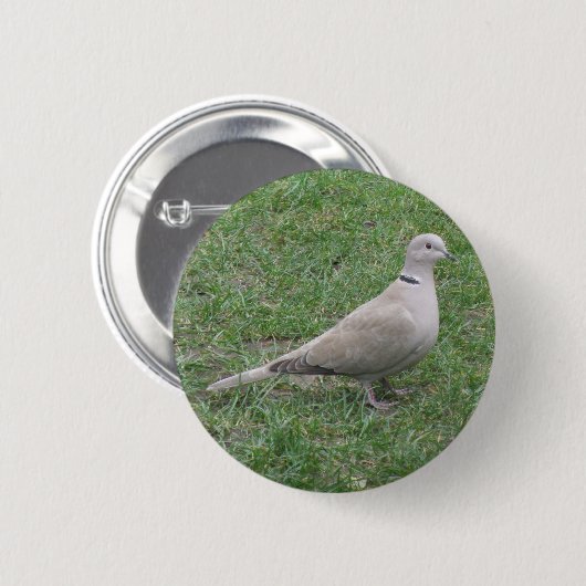 Collared Dove Button (Voorkant /achterkant)