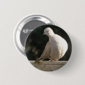 Collared Dove Button (Voorkant /achterkant)
