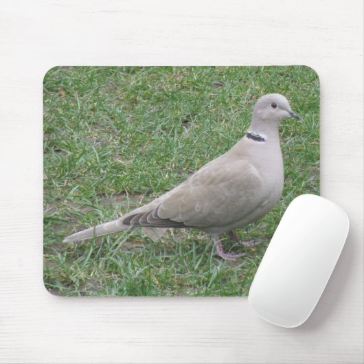 Collared Dove Mousepad Muismat (Met muis)