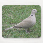 Collared Dove Mousepad Muismat (Voorkant)