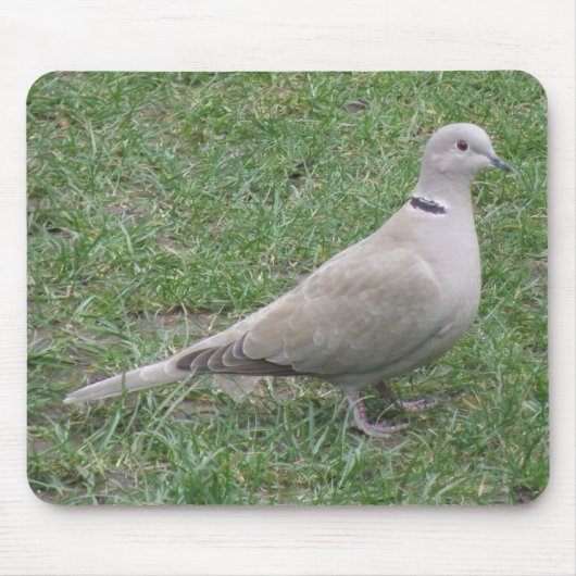 Collared Dove Mousepad Muismat (Voorkant)