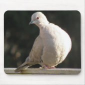 Collared Dove Mousepad Muismat (Voorkant)