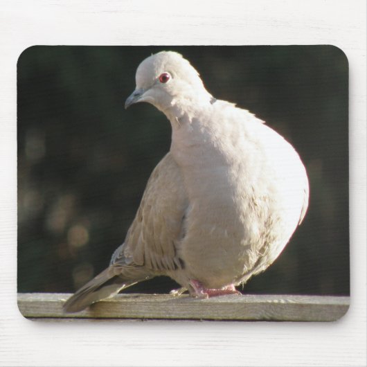 Collared Dove Mousepad Muismat (Voorkant)