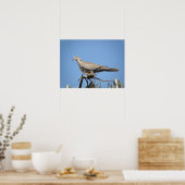 Collared Dove Print (Keuken)