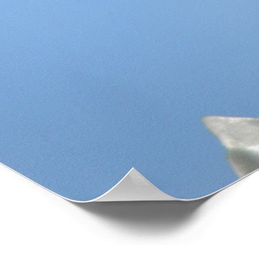 Collared Dove Print (Hoek)